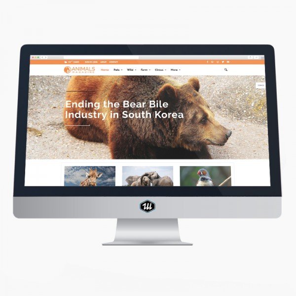 Newsmag Magazin 4 Newsmag Magazin 4