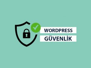 WordPress Güvenlik Önlemleri – Web Sitenizi Koruyun