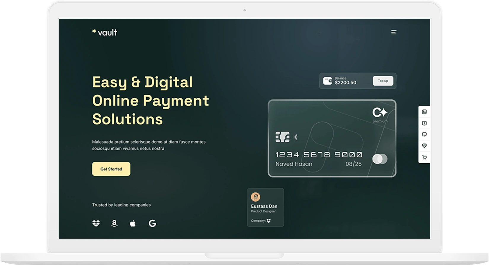 Vault Payment Solutions demo görünümü